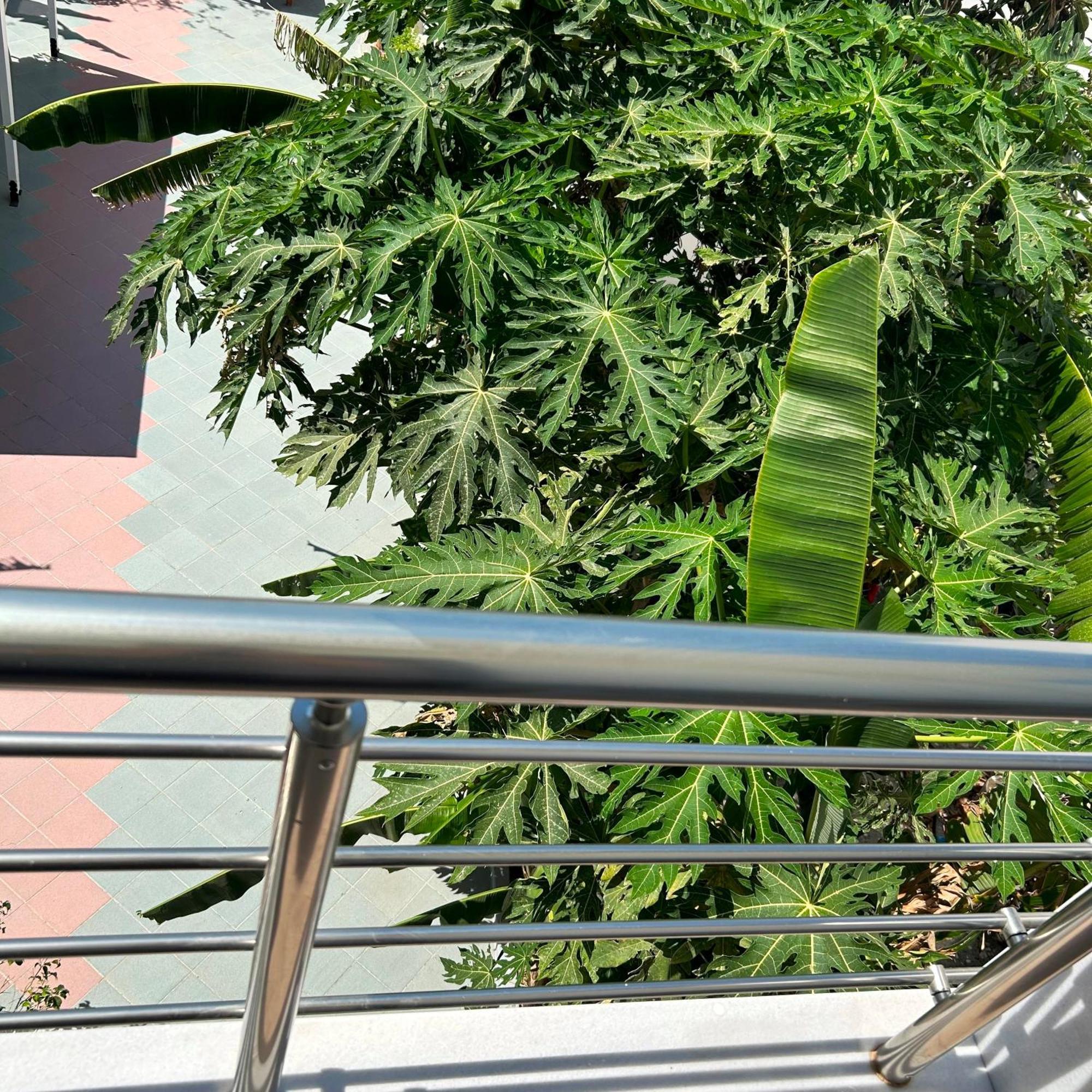 Sea Breeze Hotel Masztihári Kültér fotó